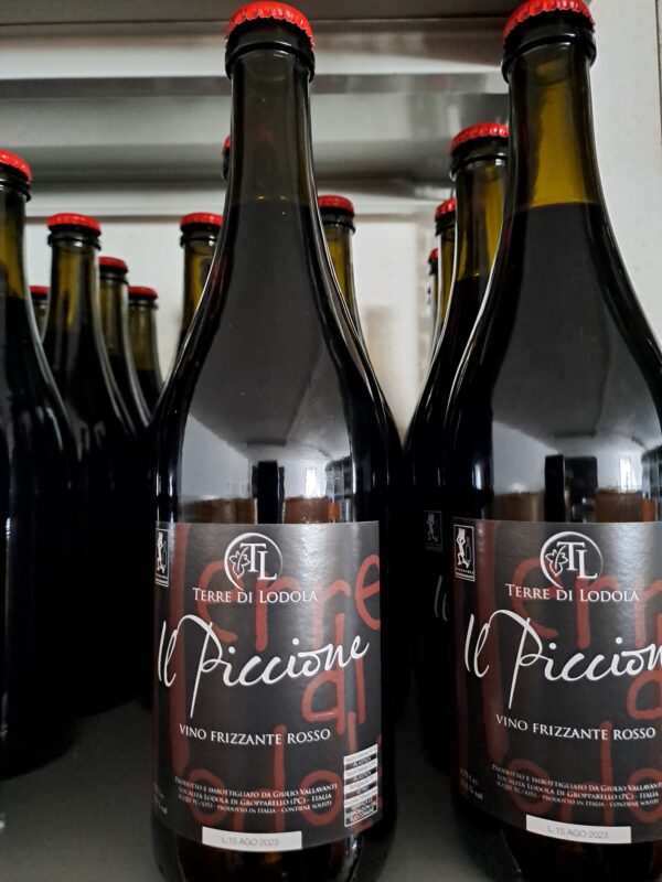 Il Piccione
